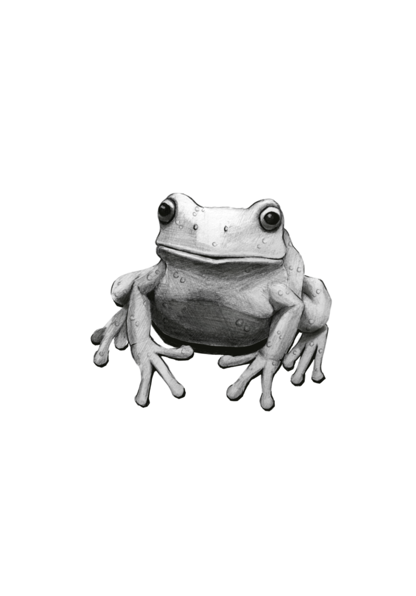 Untitled_Artwork 103.png