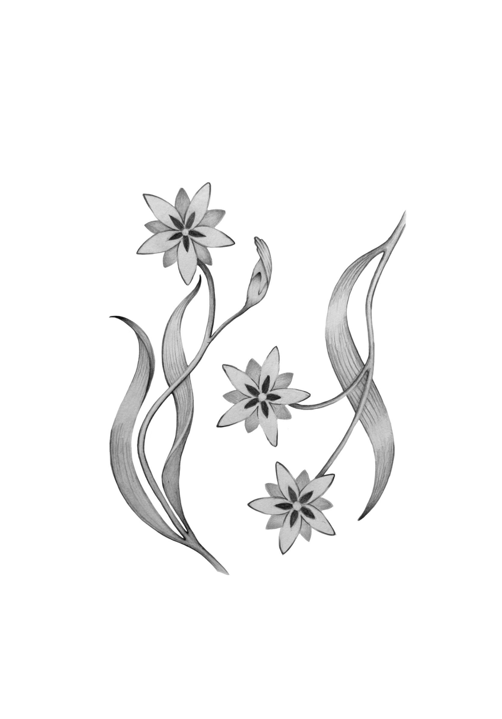 Untitled_Artwork 100.png