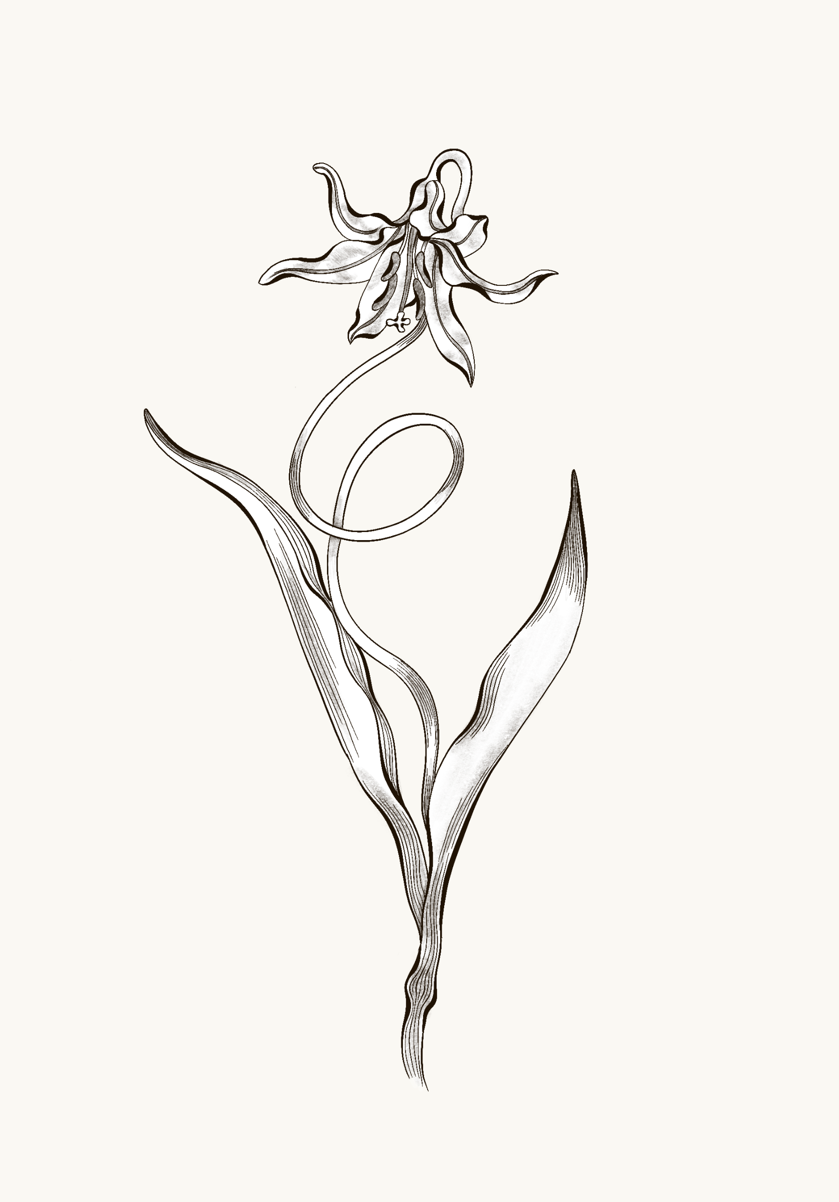 Untitled_Artwork 66.png