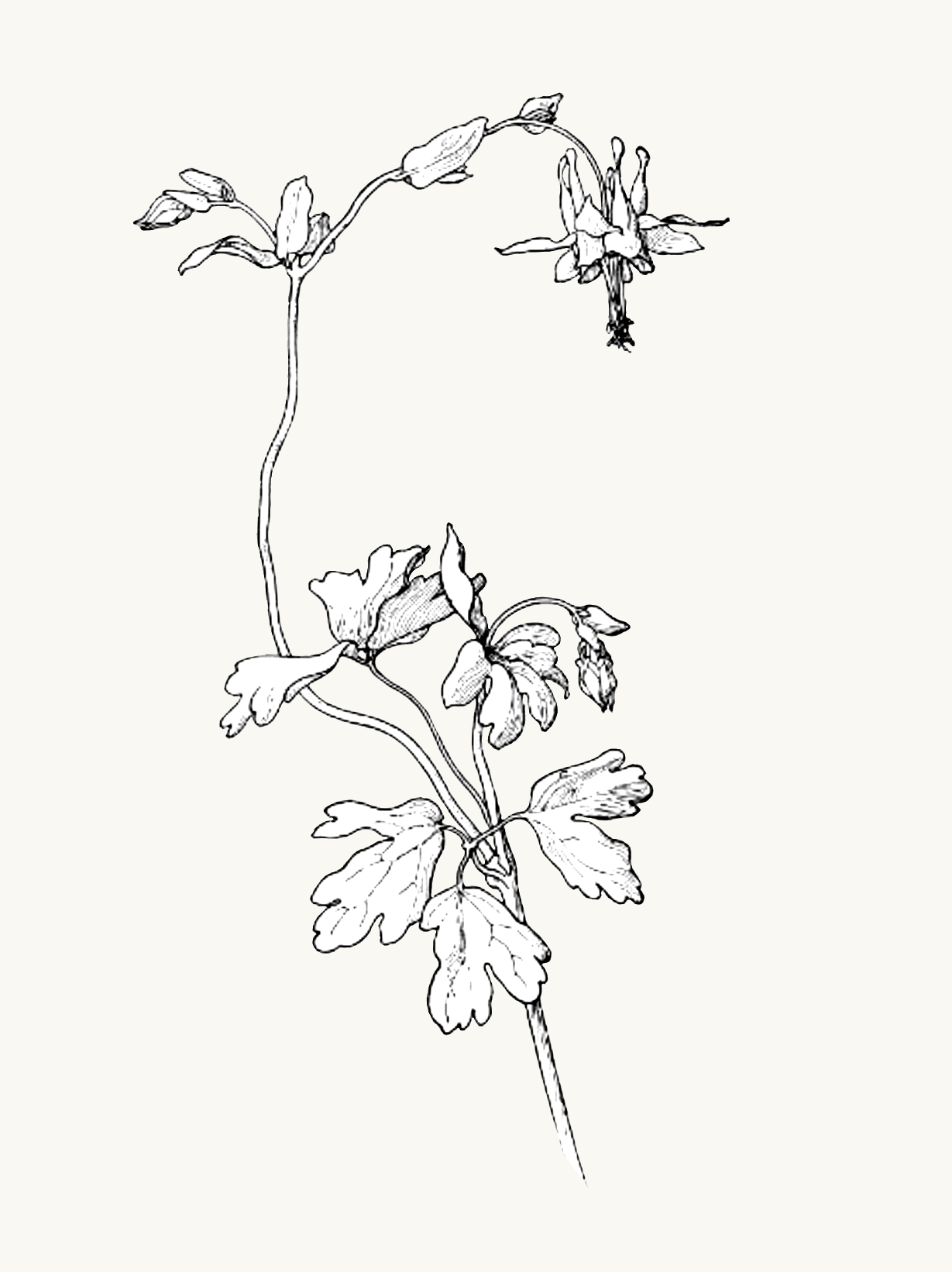 Untitled_Artwork 82.png