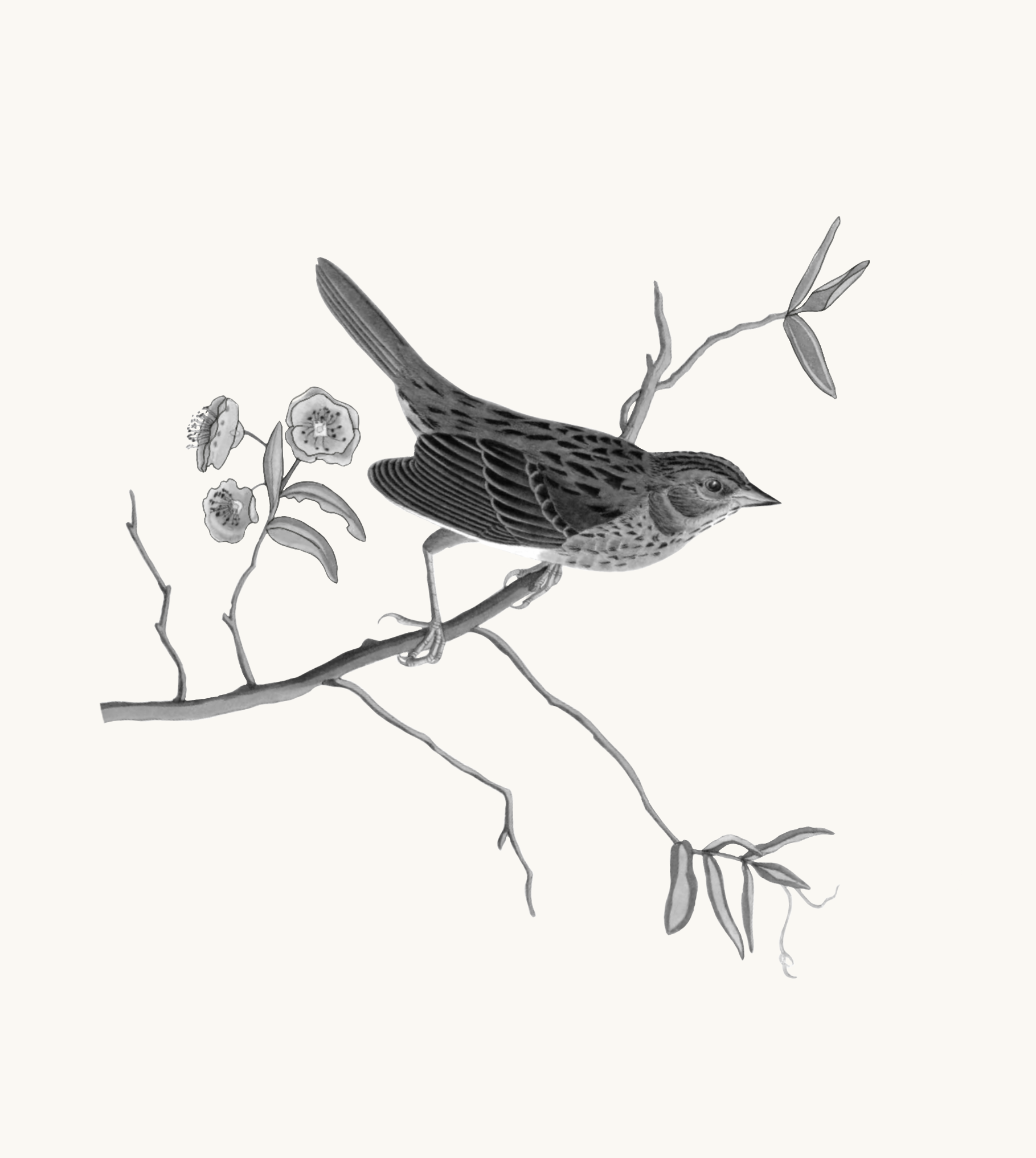 Untitled_Artwork 74.png