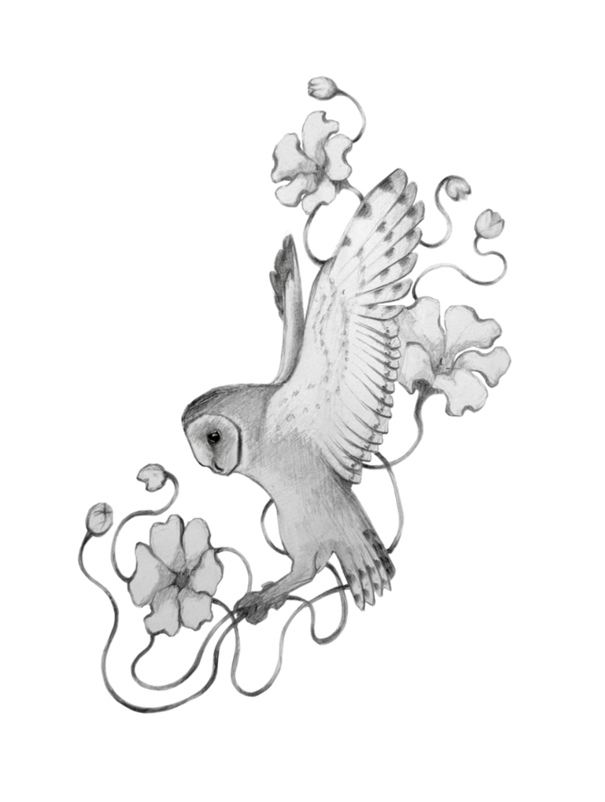 Untitled_Artwork 111.png