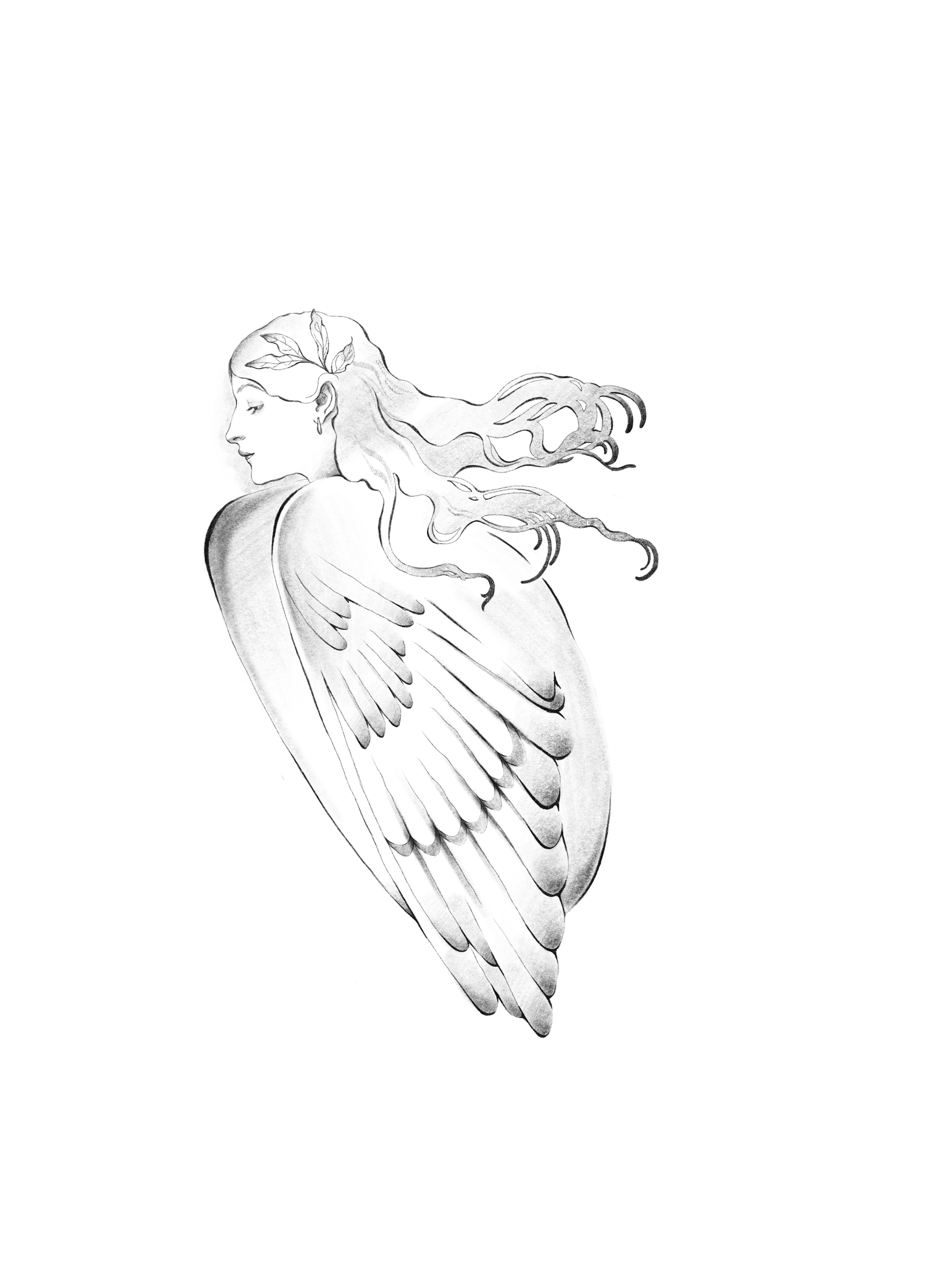 Untitled_Artwork 106.png