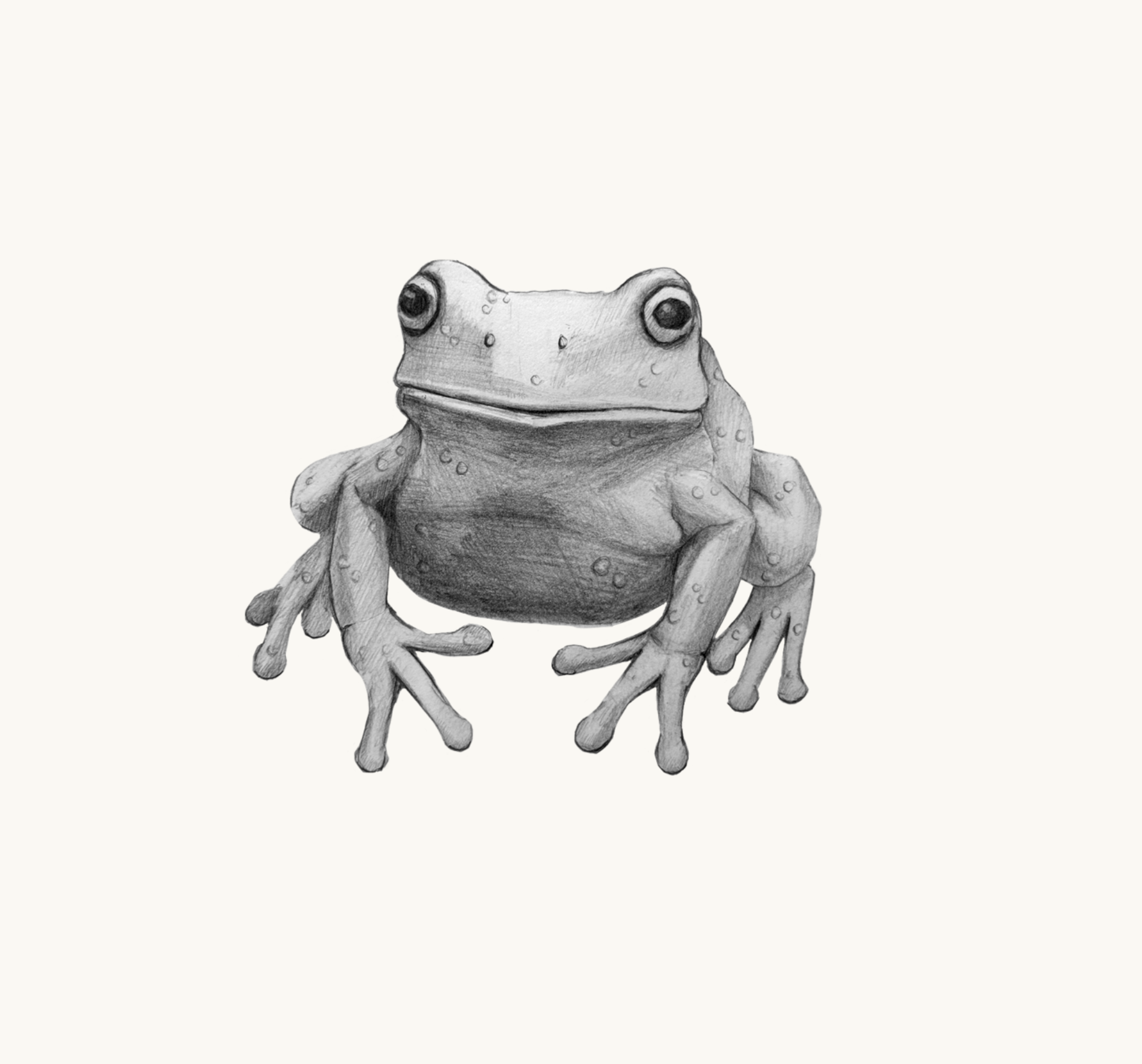 Untitled_Artwork 79.png