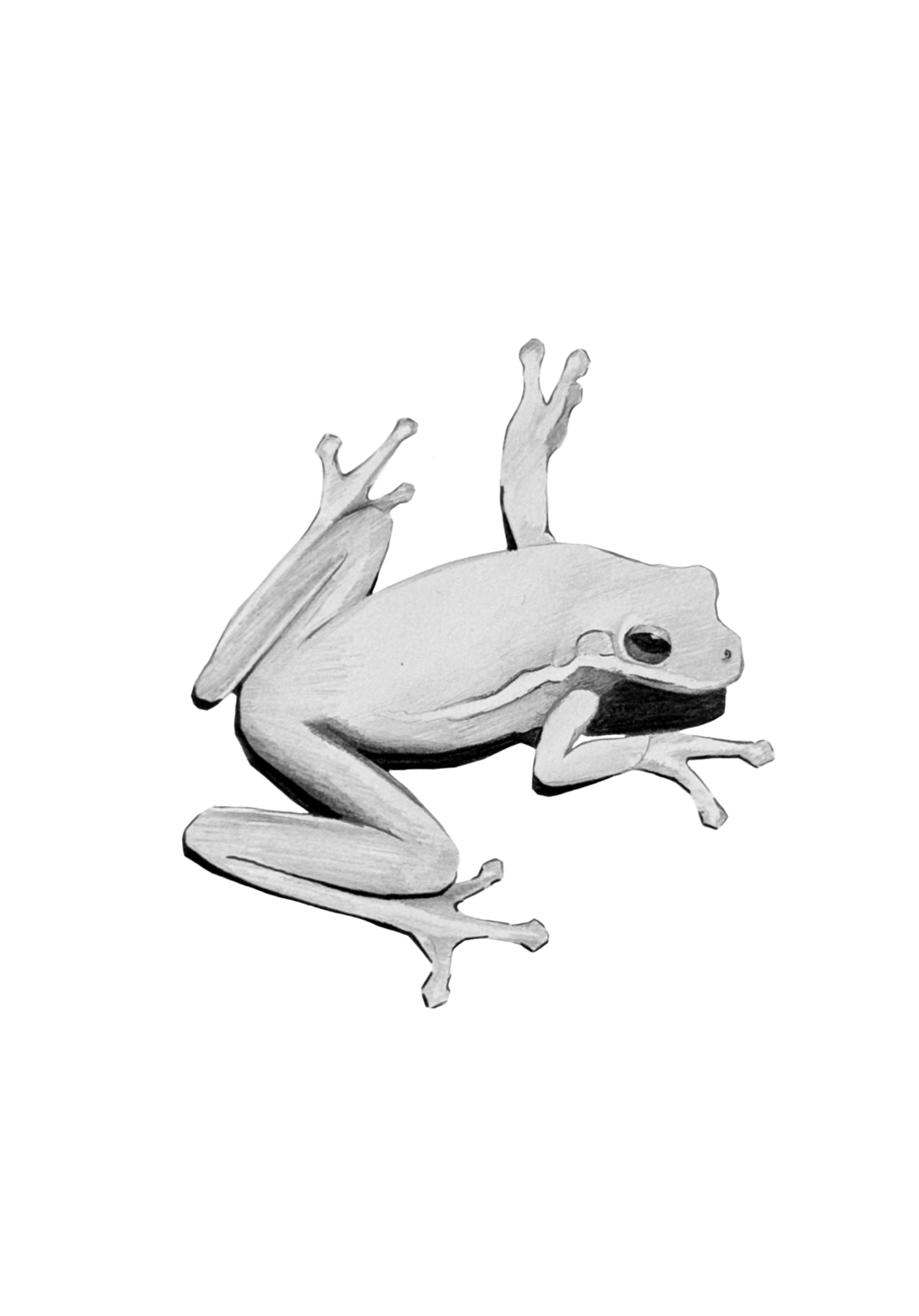 Untitled_Artwork 104.png