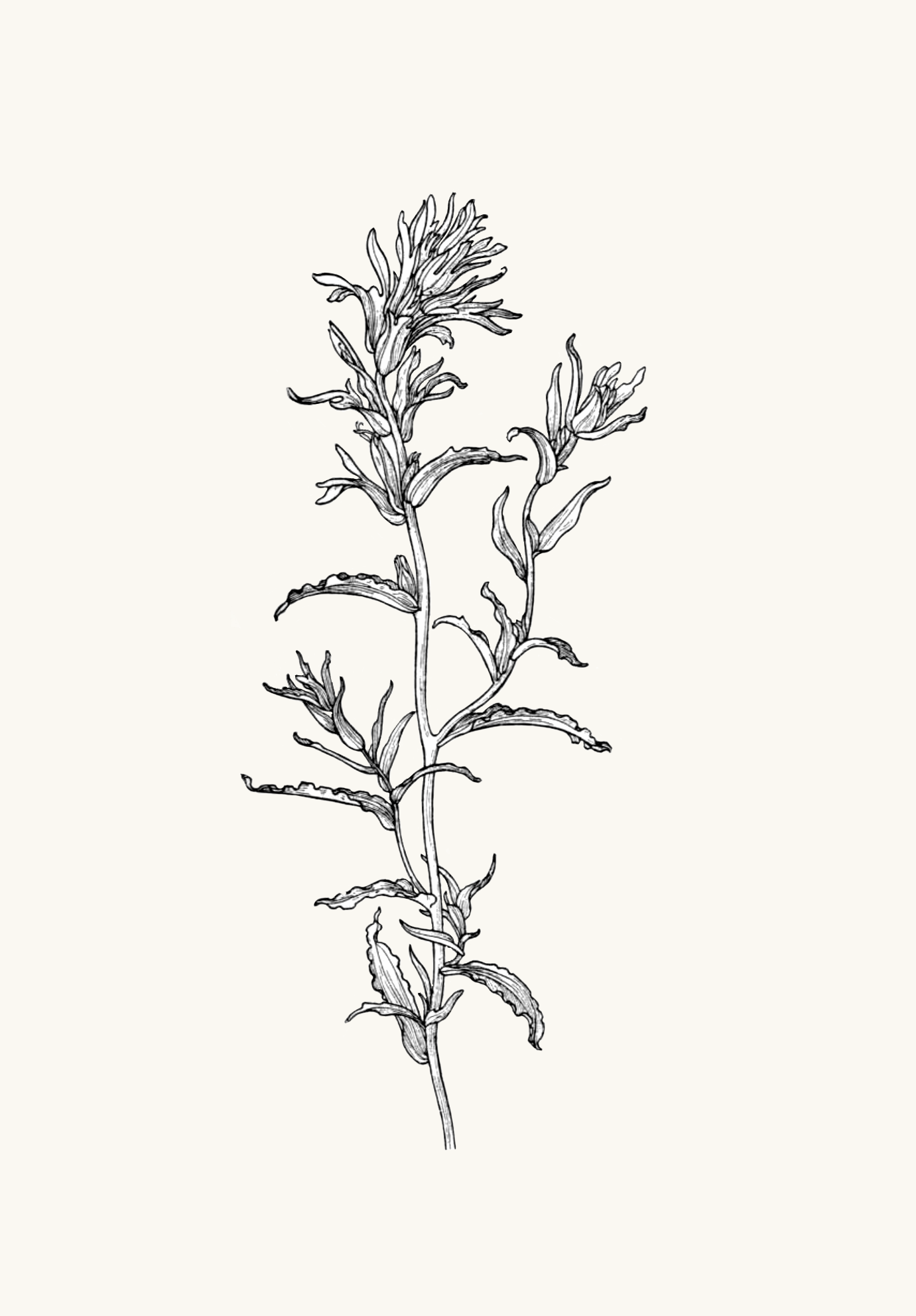 IMG_0014.png