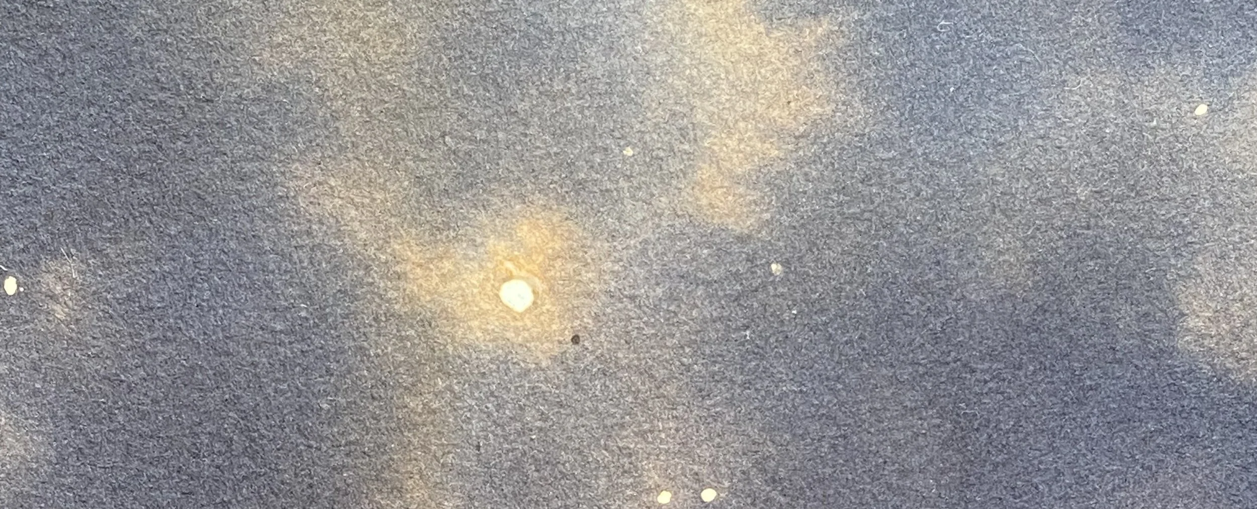 leaf moon / Eostre’s moon