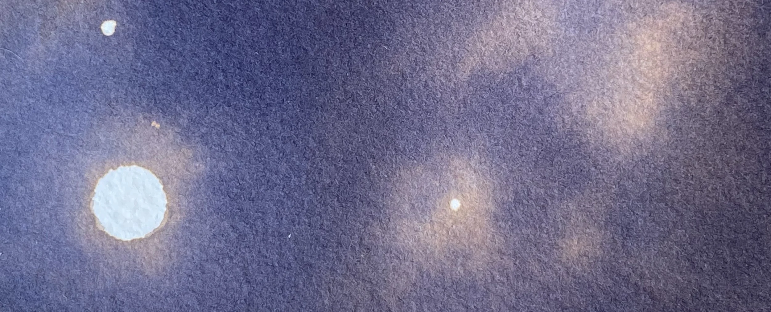 summer major goose moon / gentle moon