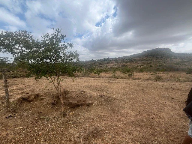 Kenya: Planting Seeds of the Future in Bible Land