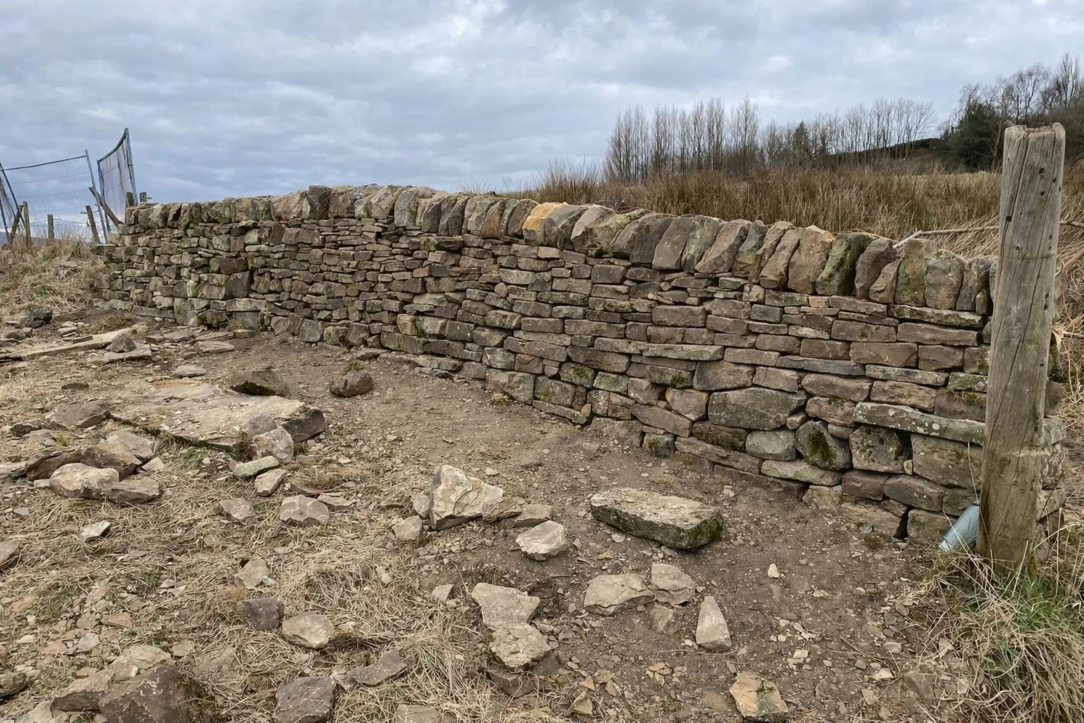 Drystone Wall reinstatement