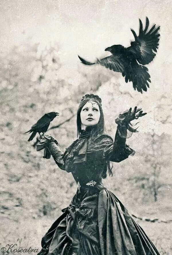 An Army of Crows…