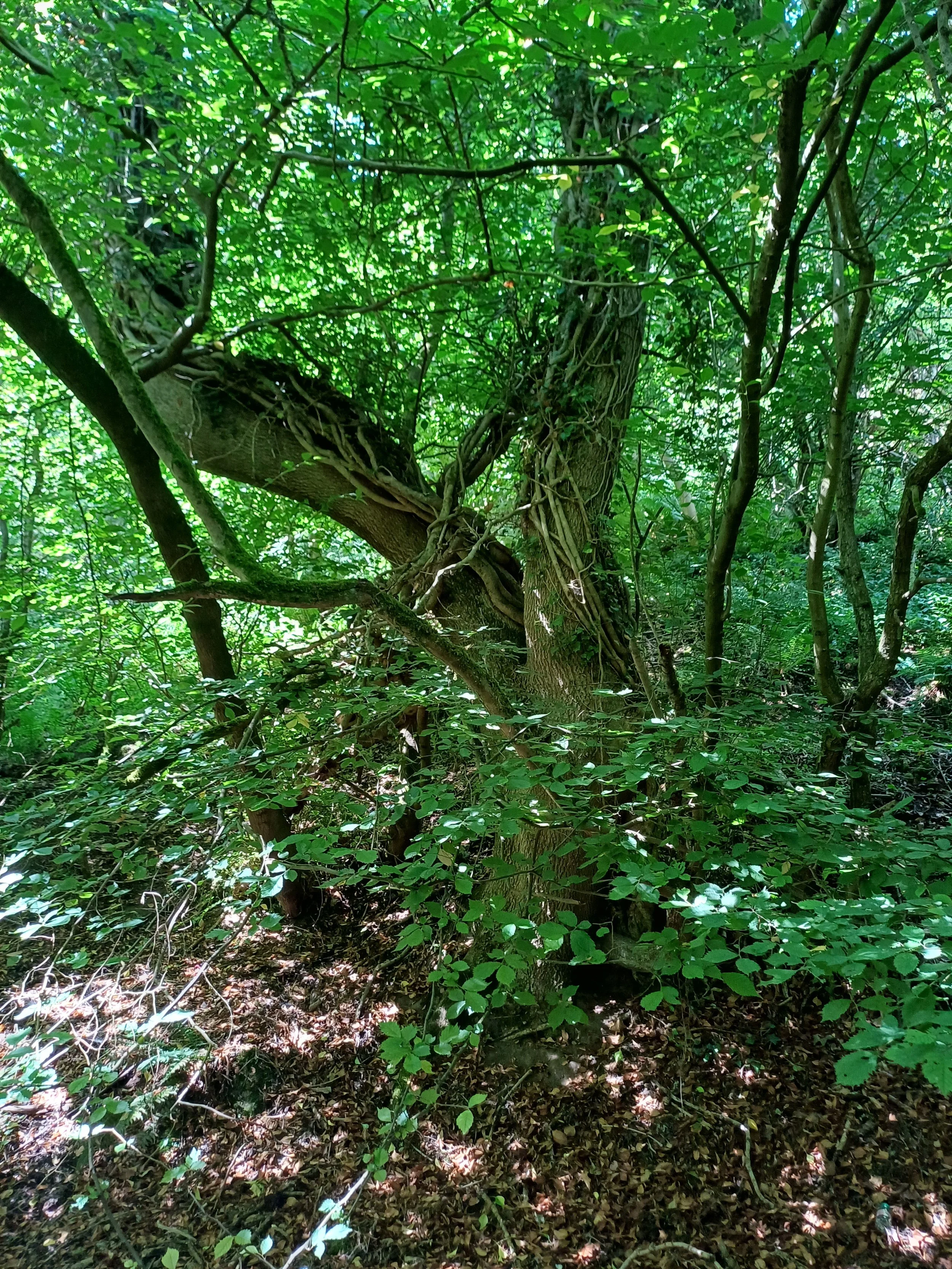 20260719_122934.jpg