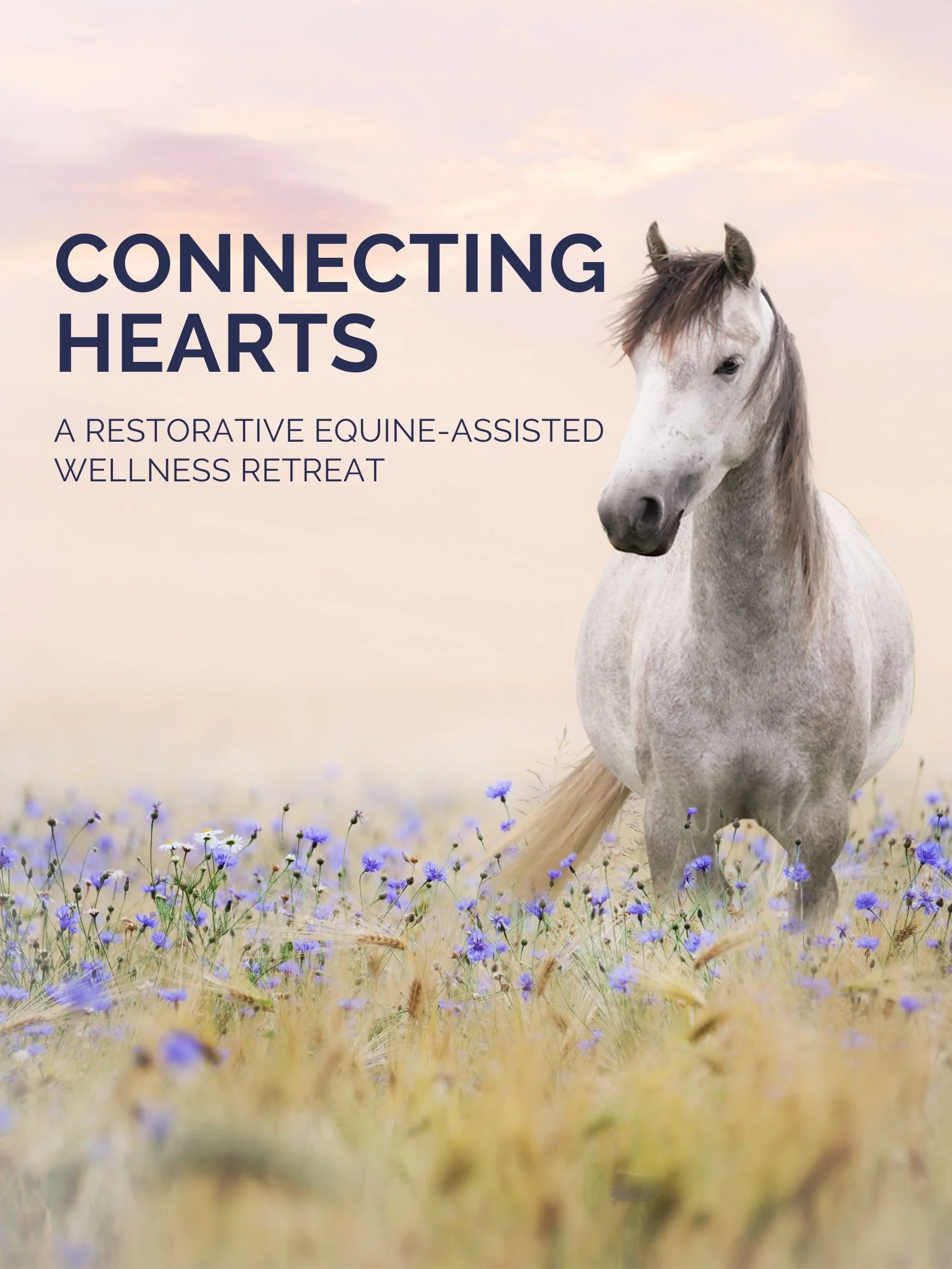 CONNECTING HEARTS: A Restorative Equine Assisted Wellness Retreat