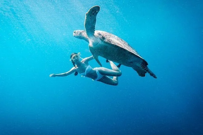 Turtle with girl.jpg