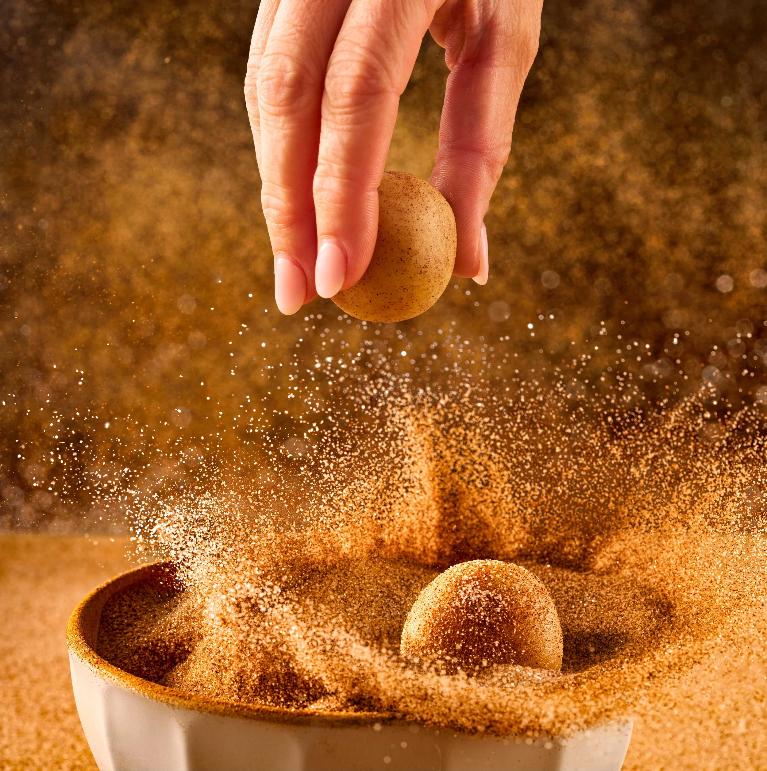 MCK_Holiday_Shot_B_cinnamon_snickerdoodles_0626_0403_0462_0734_rt3_LR.jpg