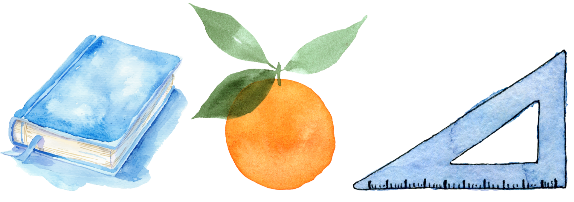 Galileo Growth literacy intervention materials for K-12 students in Orange County.