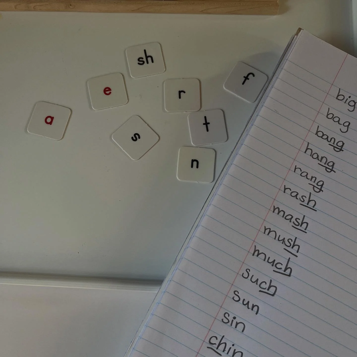 At Galileo Growth, we love incorporating word chains into our sessions to make learning interactive, engaging, and effective. It&rsquo;s amazing to see how this simple yet strategic activity can unlock reading potential!

#ReadingIntervention #WordCh