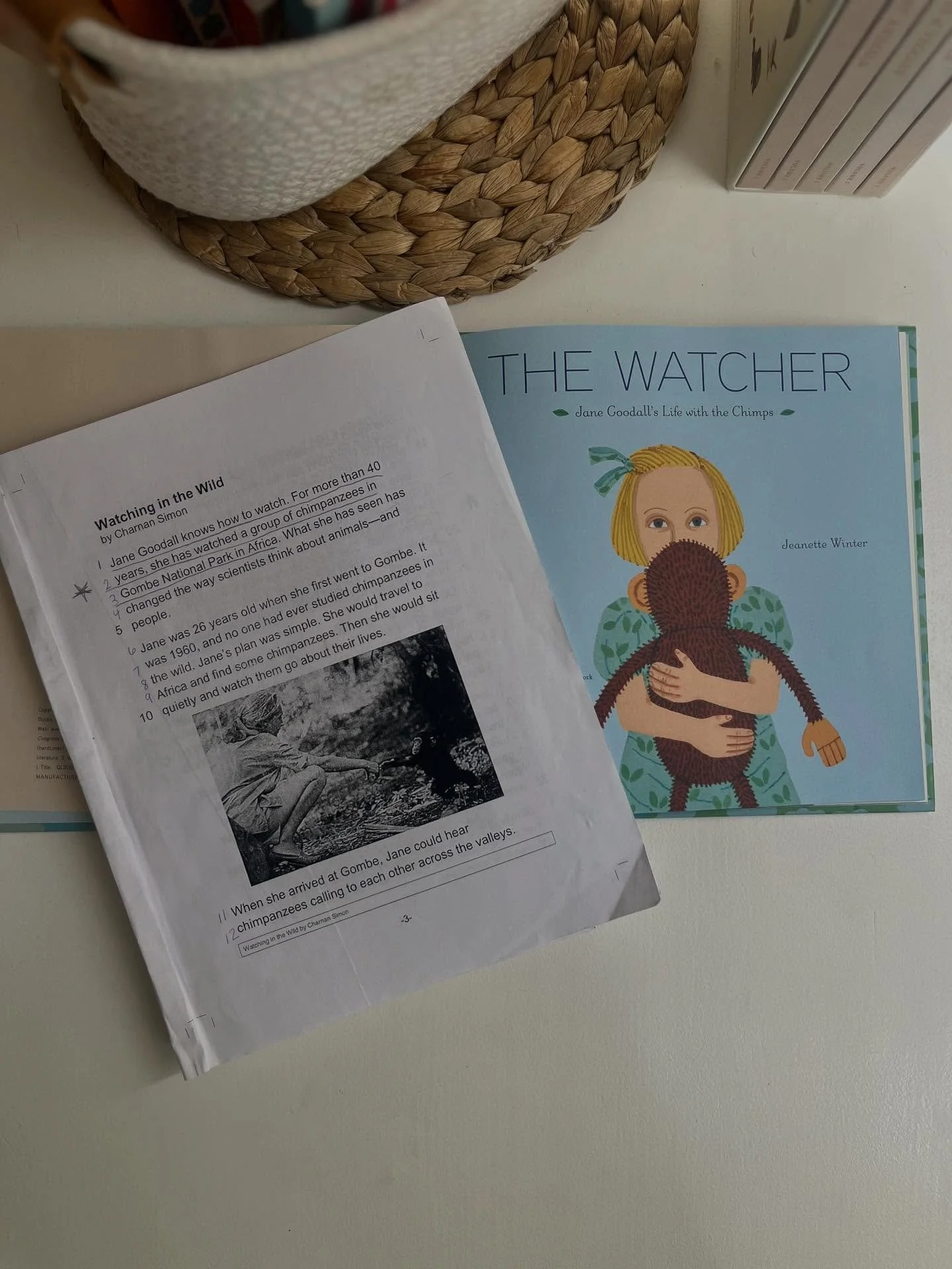 Celebrating the life and legacy of one of the world&rsquo;s most influential scientists and environmental advocates. 🐒✨

In honor of Jane Goodall, I&rsquo;m sharing one of my favorite literacy lessons&mdash;pairing two different types of texts: a na