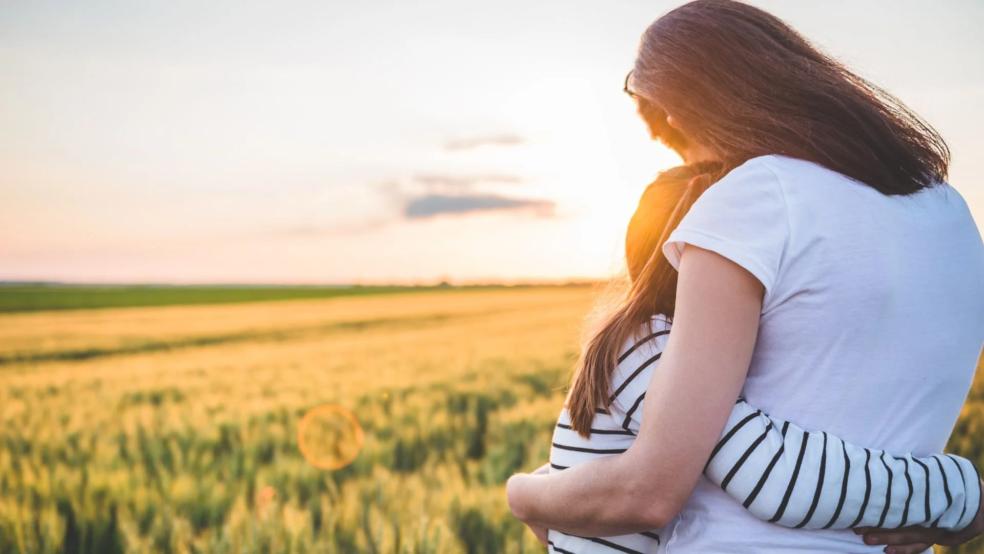 Your Child Was Referred for an IEP. 