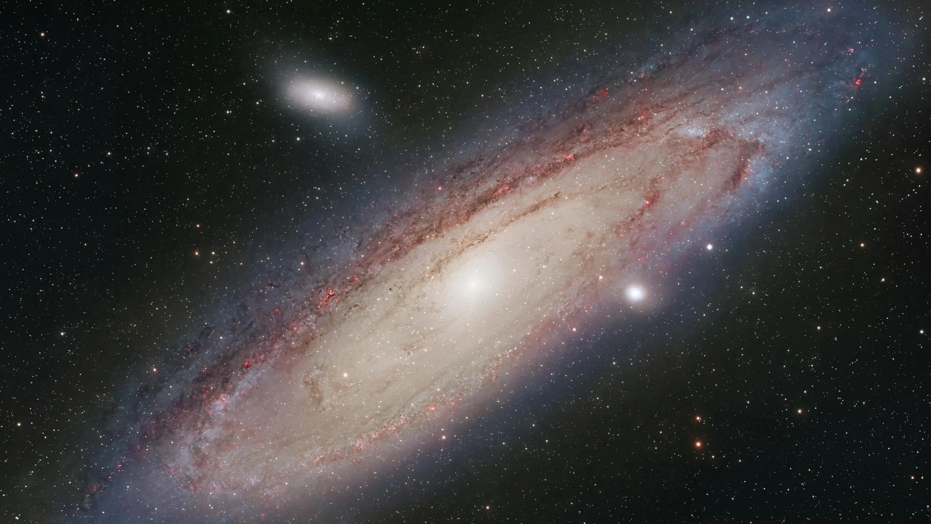 Galileo Growth educational consultancy, evidence-based learning support for Orange County families.