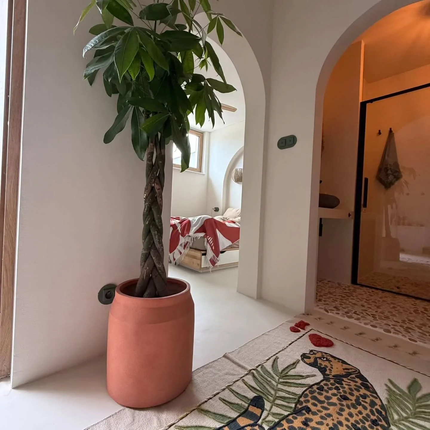 Finitura in Microcemento
Una soluzione moderna e funzionale per chi cerca continuit&agrave; visiva, resistenza e facilit&agrave; di manutenzione.
Il microcemento consente di rivestire superfici esistenti senza demolizioni, adattandosi perfettamente a