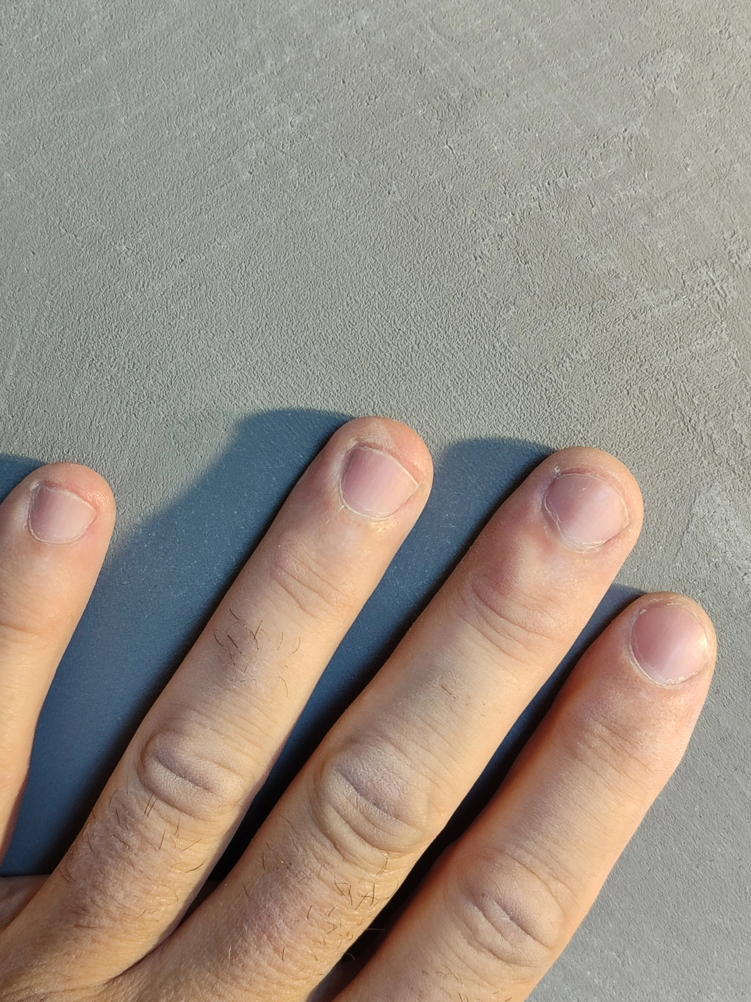 Pavimento in microcemento a Torino, finitura continua effetto cemento