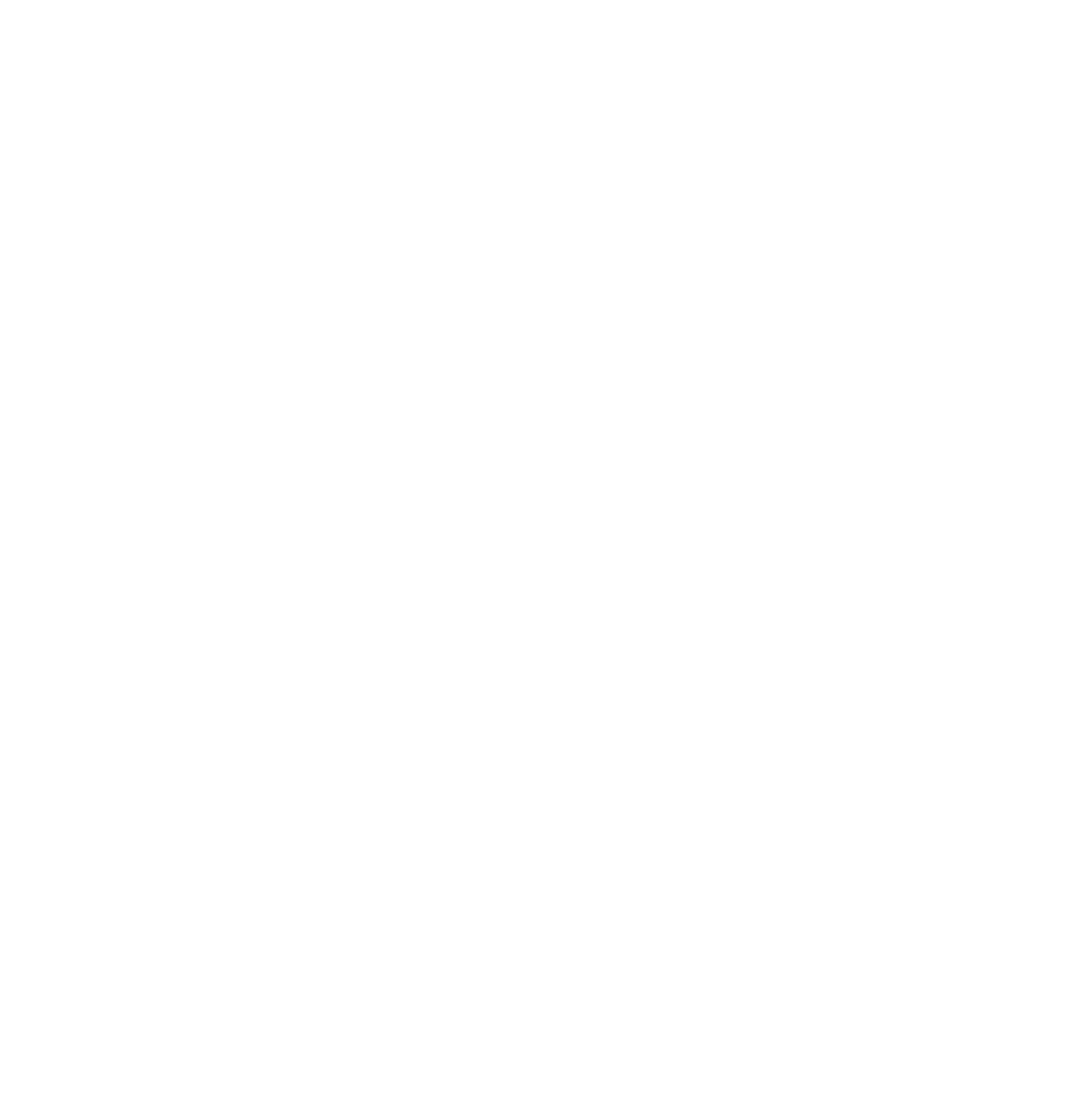 Maine DSA Logo