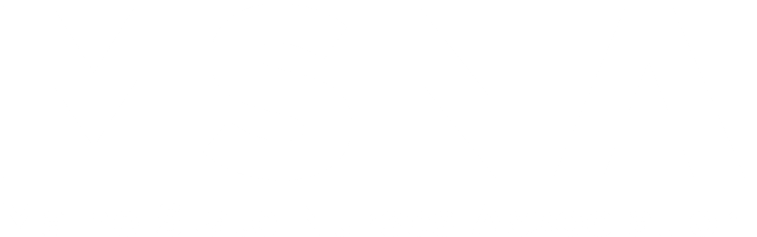 Maine State Nurses Association Logo