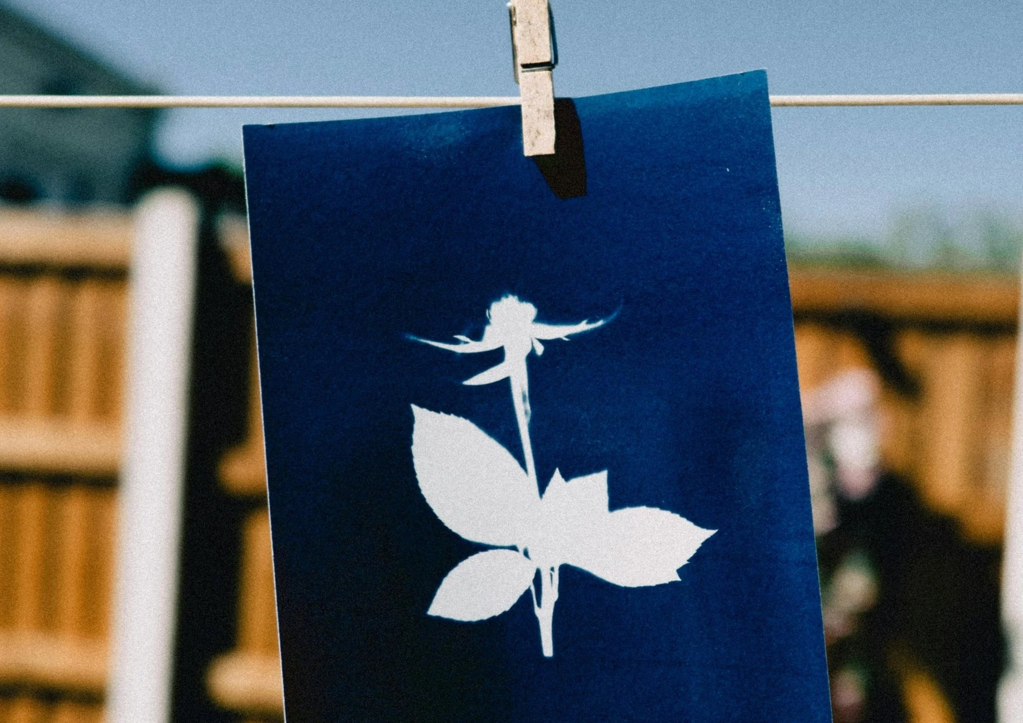 Atelier cyanotype - dim. 04/10