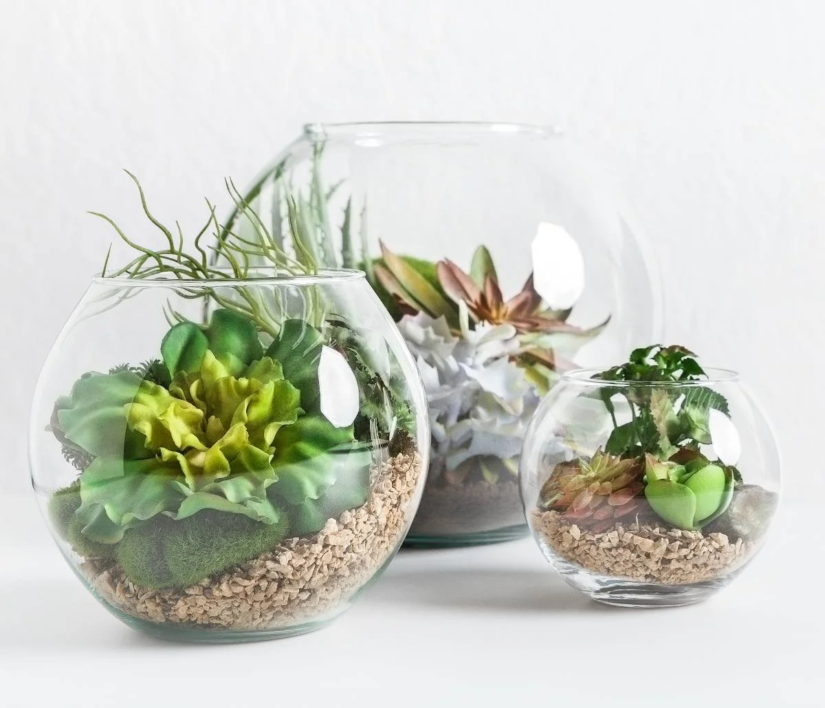 Atelier composition plantes - sam. 07/11