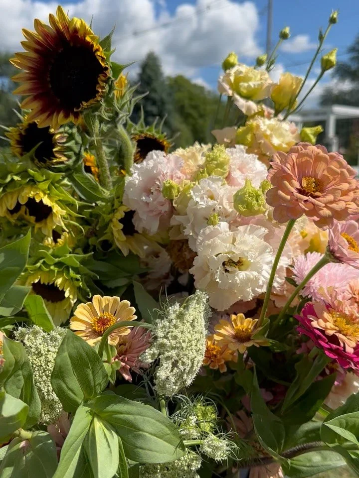 Hard to believe this was just a few months ago.
The fields look different now, but the memory sticks.
.
.
.
.
.
#locallygrownflowers #flowerfarming #weddingflorist #michiganweddingflowers #michiganflowers