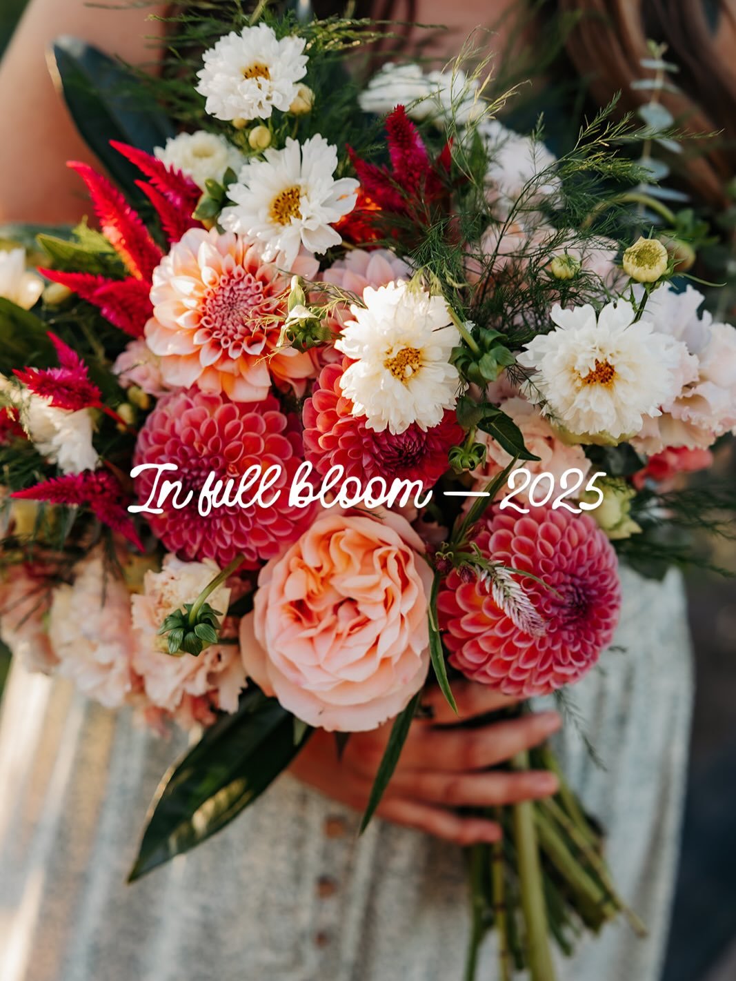 A year rooted in love, growth, and a whole lot of blooms ✨
From snowy days and tiny hands to weddings, gardens, and family moments &mdash; every month told a story.
Thank you for being part of our journey this year. Here&rsquo;s to more beauty ahead 