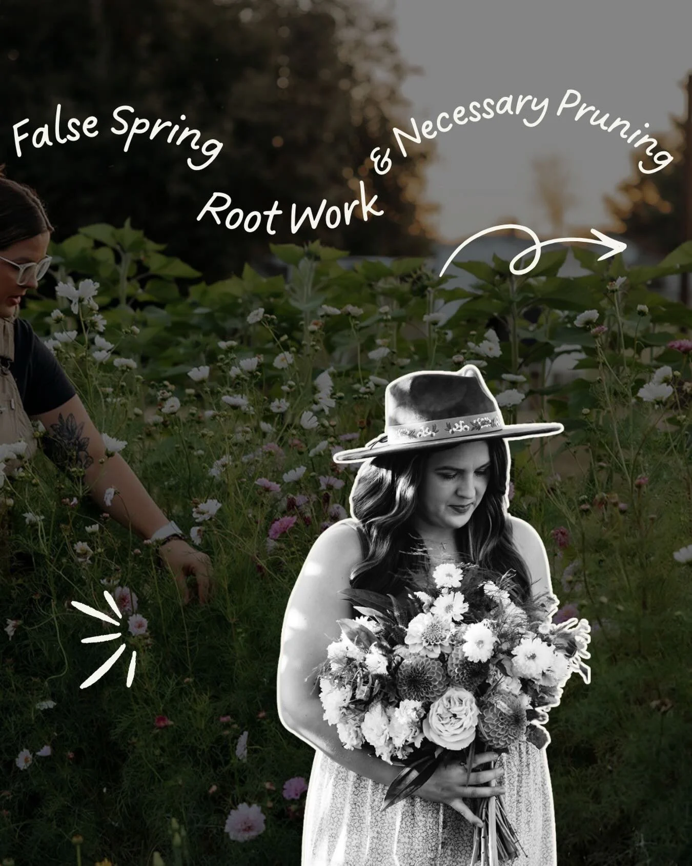 Not all progress is pretty.
Not every warm day means you&rsquo;re ready to bloom.

In the latest blog, I&rsquo;m sharing why necessary pruning and quiet root work are often the unseen steps before true growth.

Head to the link in bio to read more 🌿