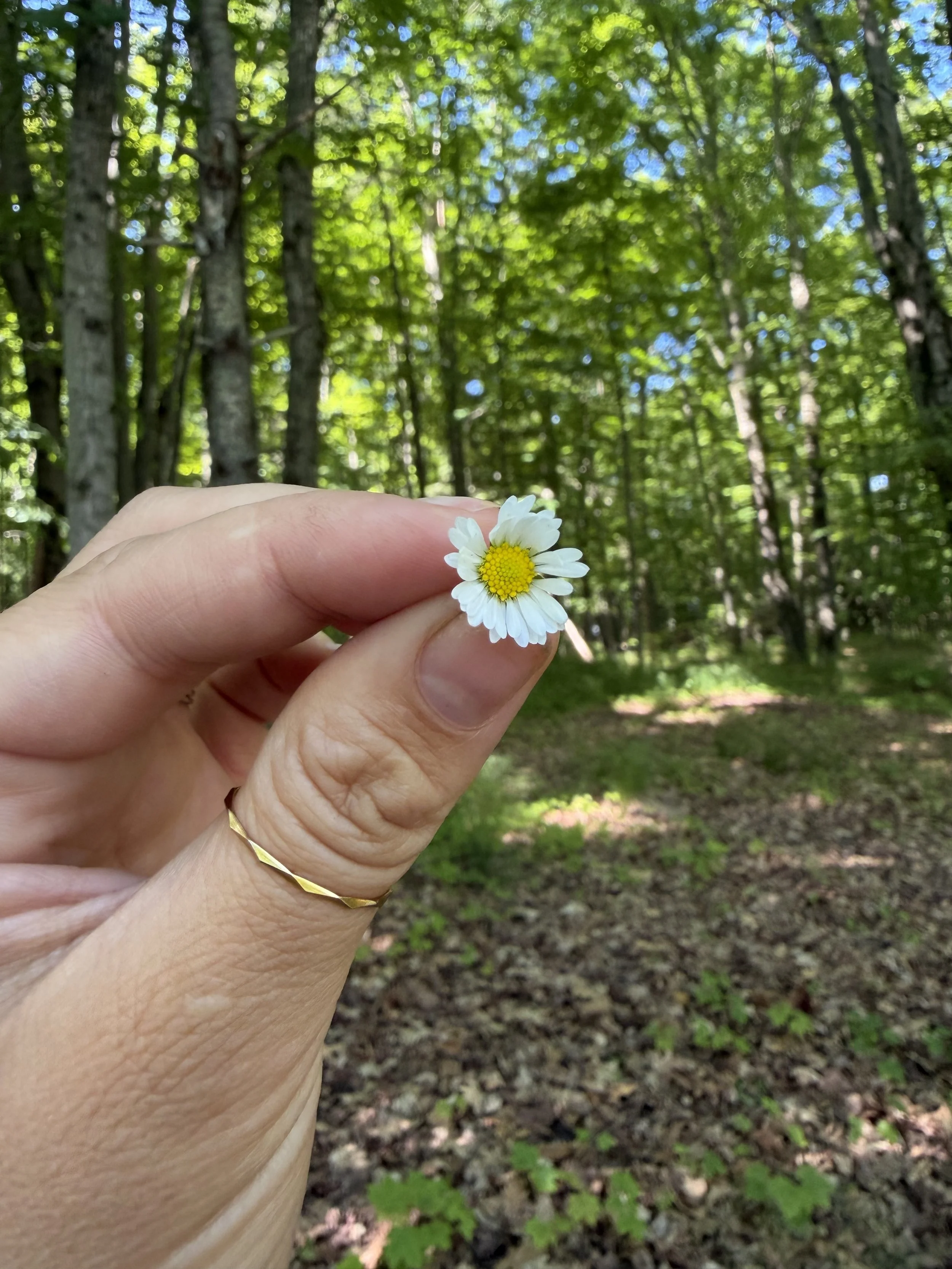 Life Updates — The Whirlwind Season