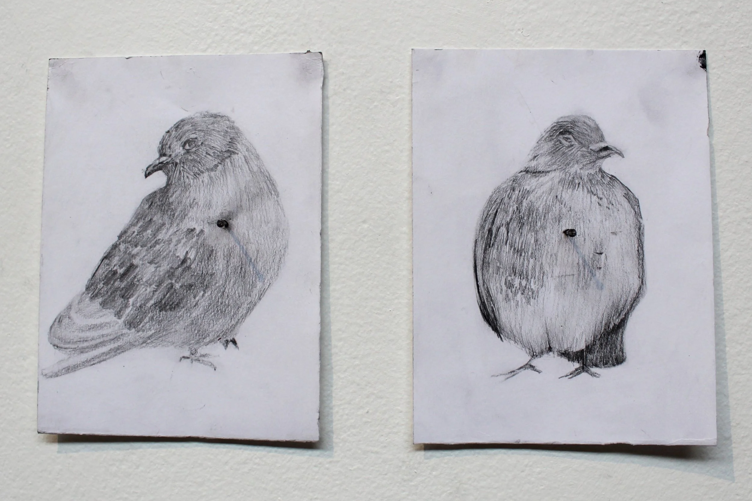 DRAWING