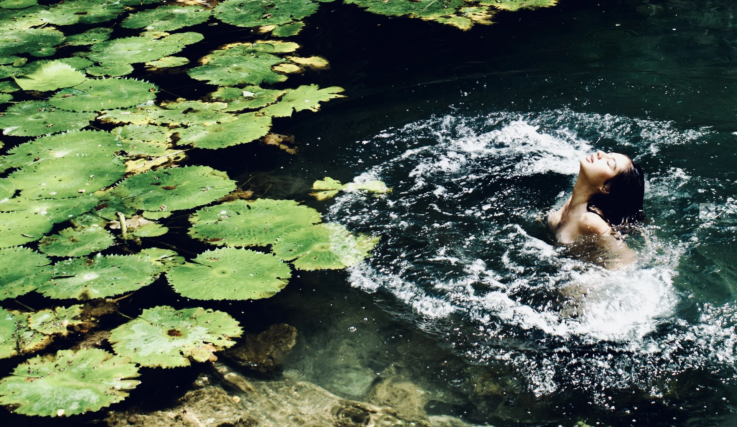 Persona nadando en un cuerpo de agua rodeado de hojas de nenúfar.