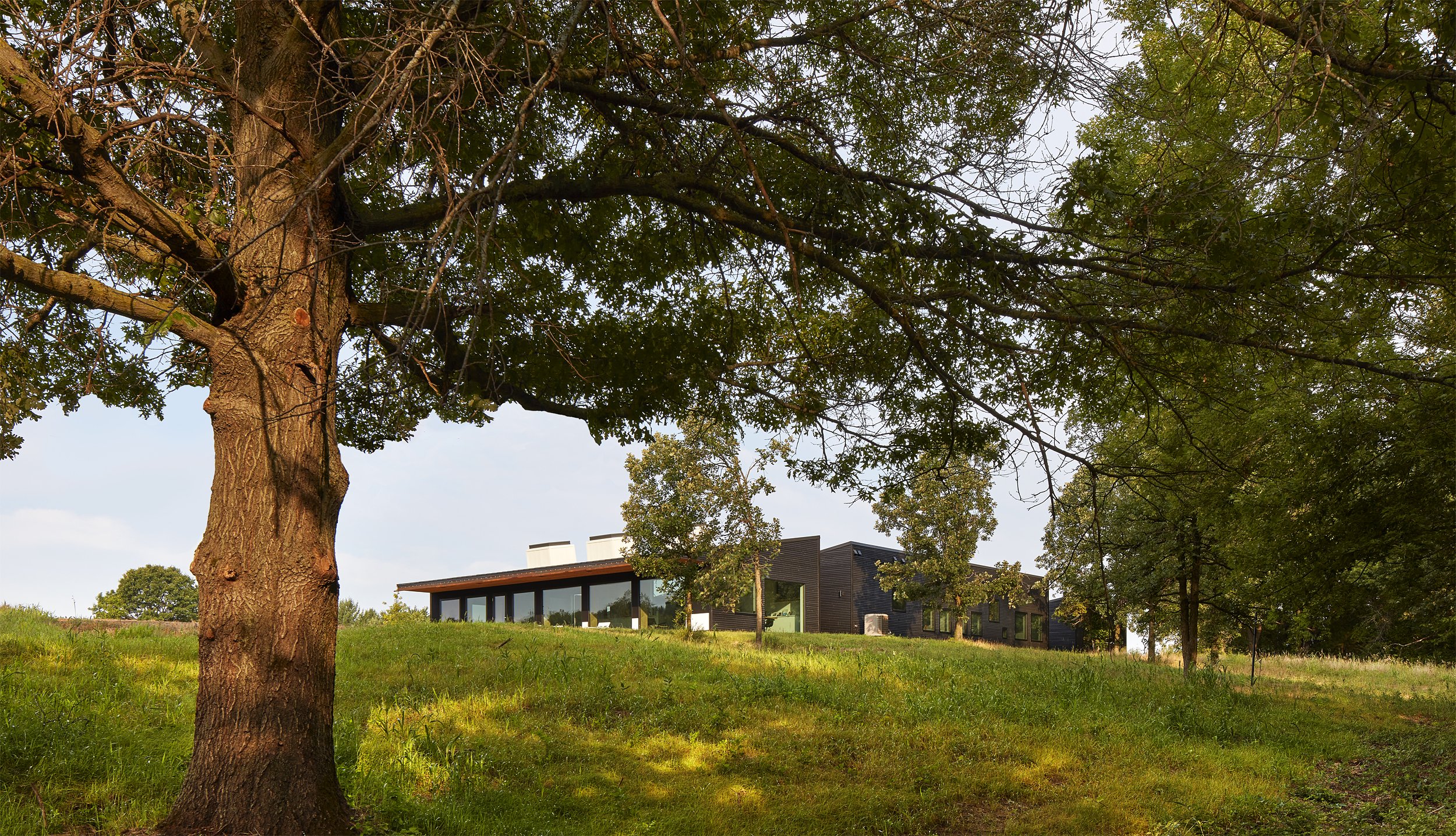 210820CG_Salmela_GoodwinResidence_025.jpg