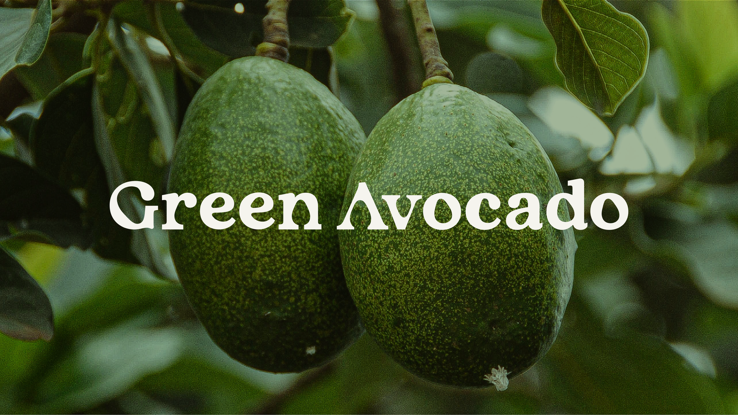 Green Avocado