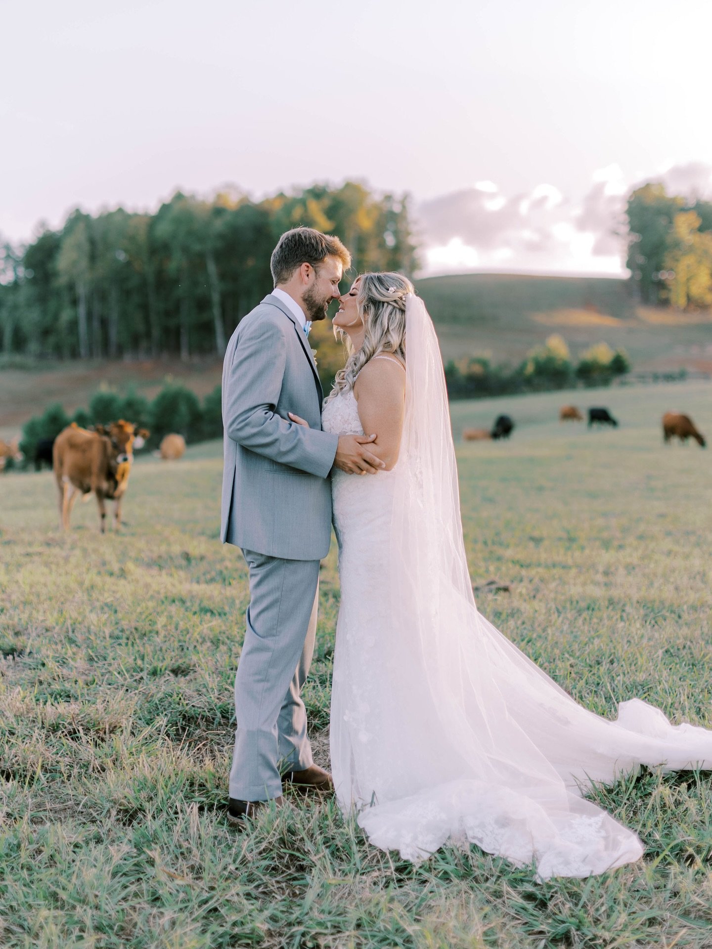 The Bentleys 🩵 10.4.25 💍 

Planner: @alysonjean_events
Photographer: @brynngrossphoto 
Videographer: @kingg_juless  @brighterlightmedia 
Rentals: @curatedeventsraleigh
Florist: @beyondpetalsflorist 
Caterer: @southern_Coals
Bartender: @urbartendern