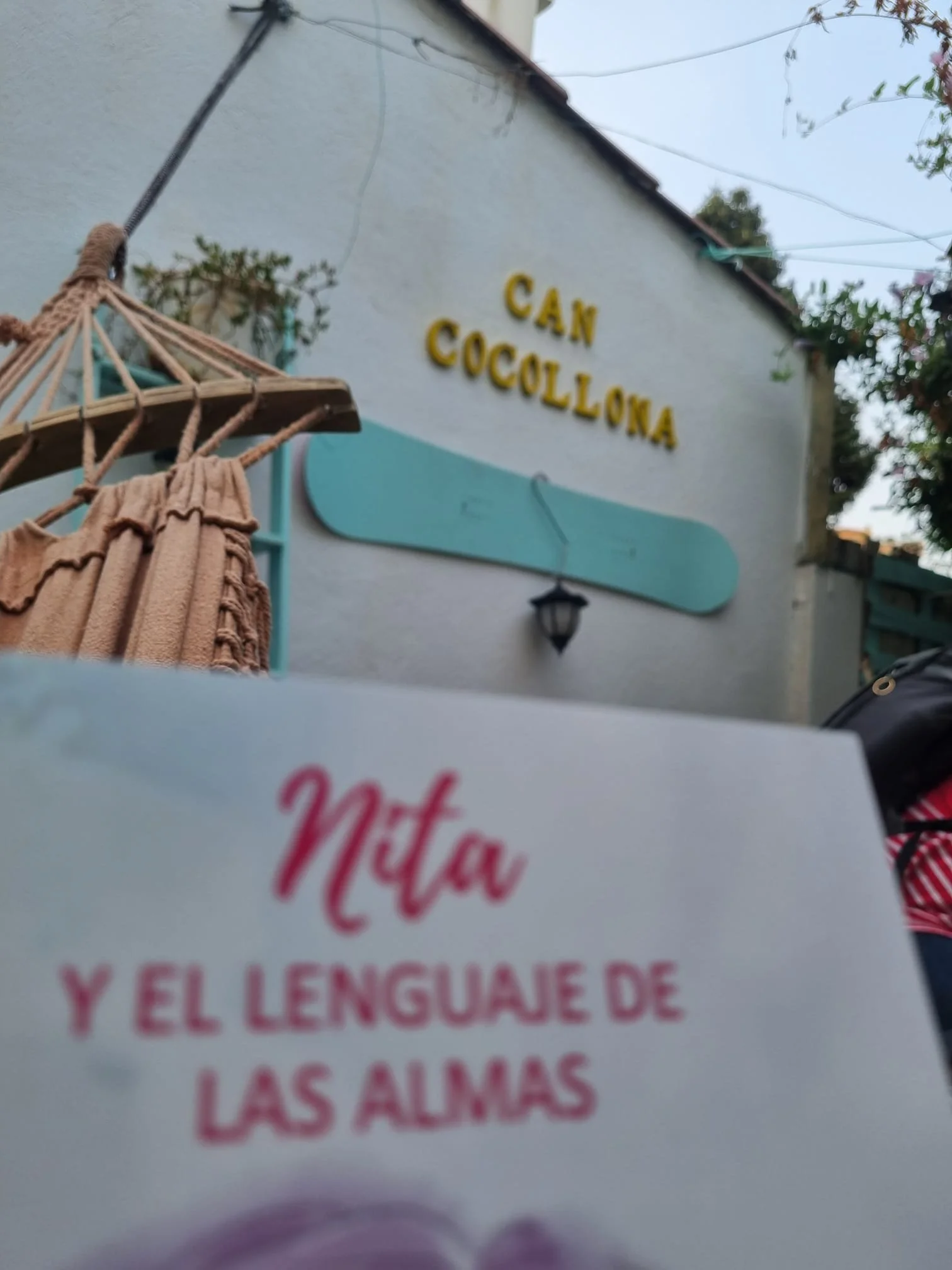 Vista de un libro que dice "Nita y el lenguaje de las almas", silla colgante de madera en primer plano y árboles de fondo.