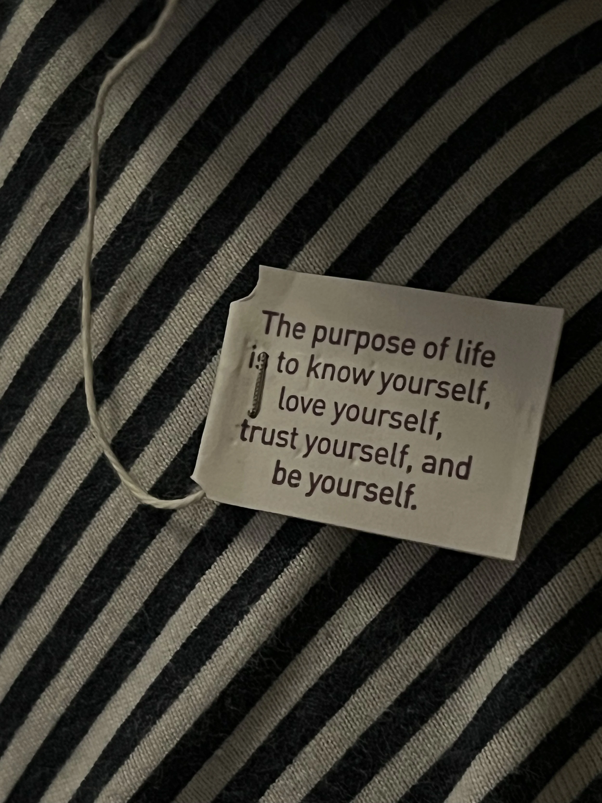 Why I’m ditching Chat GPT to help write my content