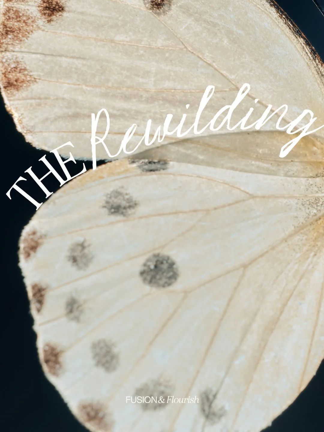 I&rsquo;ve completely transformed my signature offer, because I believe more than ever in the power and necessity of brand strategy.

In the years ahead, the brands rooted in truth, direction and a worldview will shape the market. 
Not the loudest on