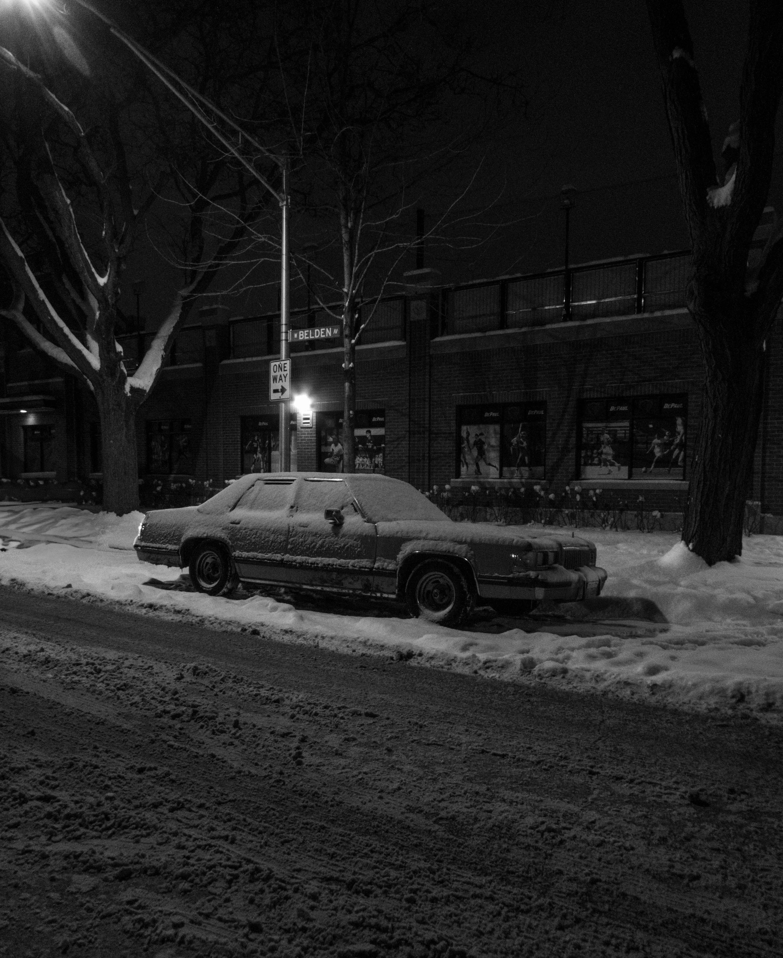 P1020351.jpg