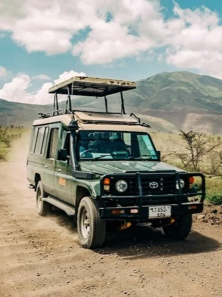 African Safari 2024: Big Five, Great Migration & Expert Tips