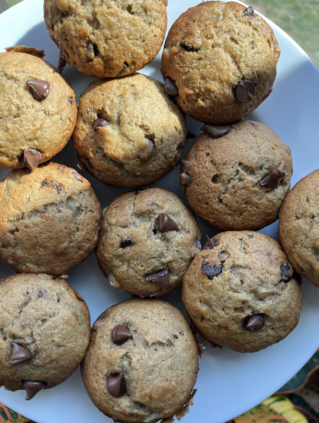 Banana Chocolate Chip Banana Muffins (whole grain)