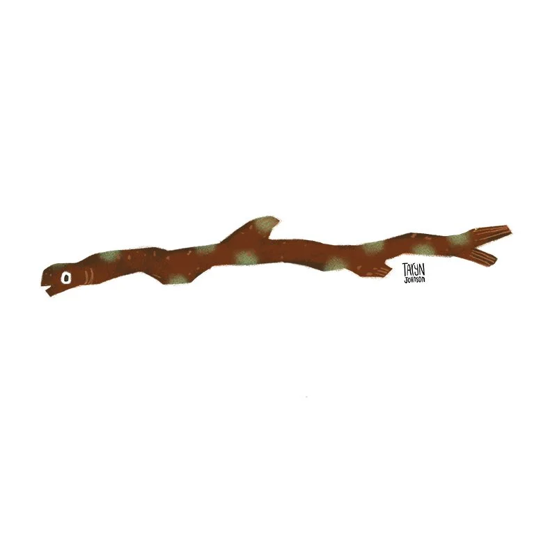 Fish020_tarynjohnson.jpg
