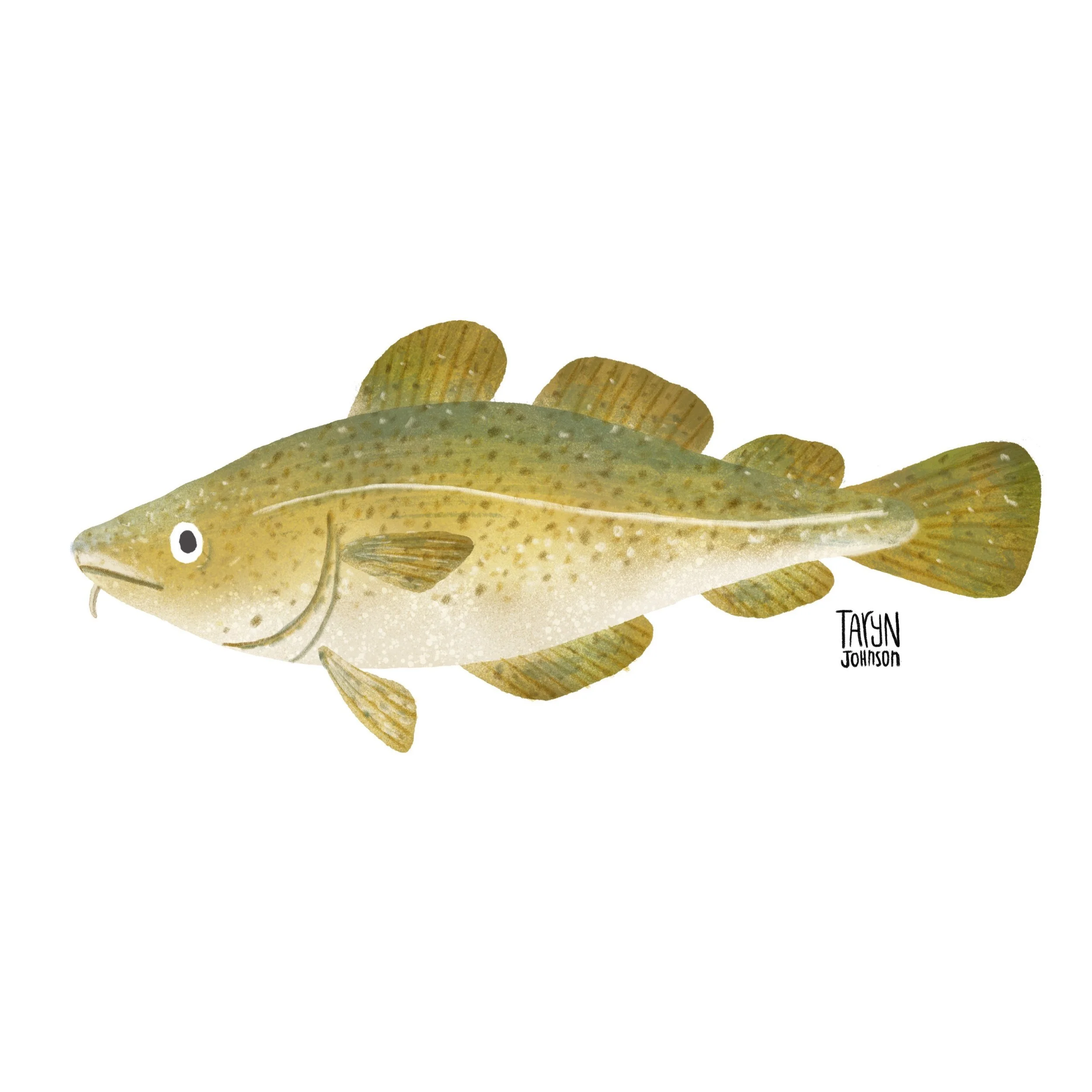 Fish070_tarynjohnson.jpg