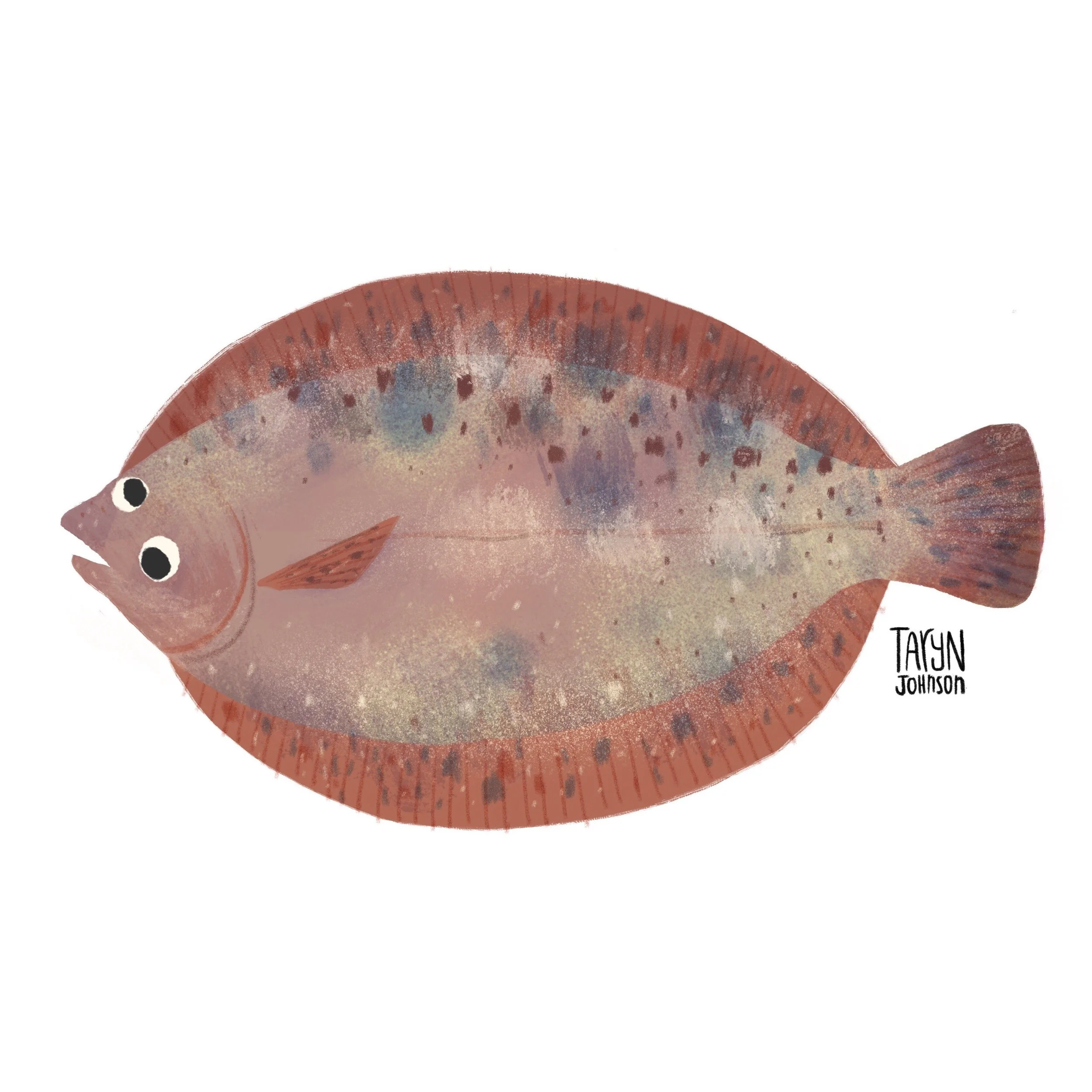 Fish063_tarynjohnson.jpg