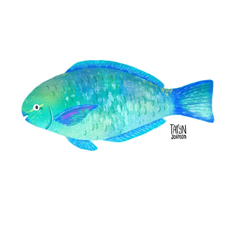 Fish037_tarynjohnson.jpg