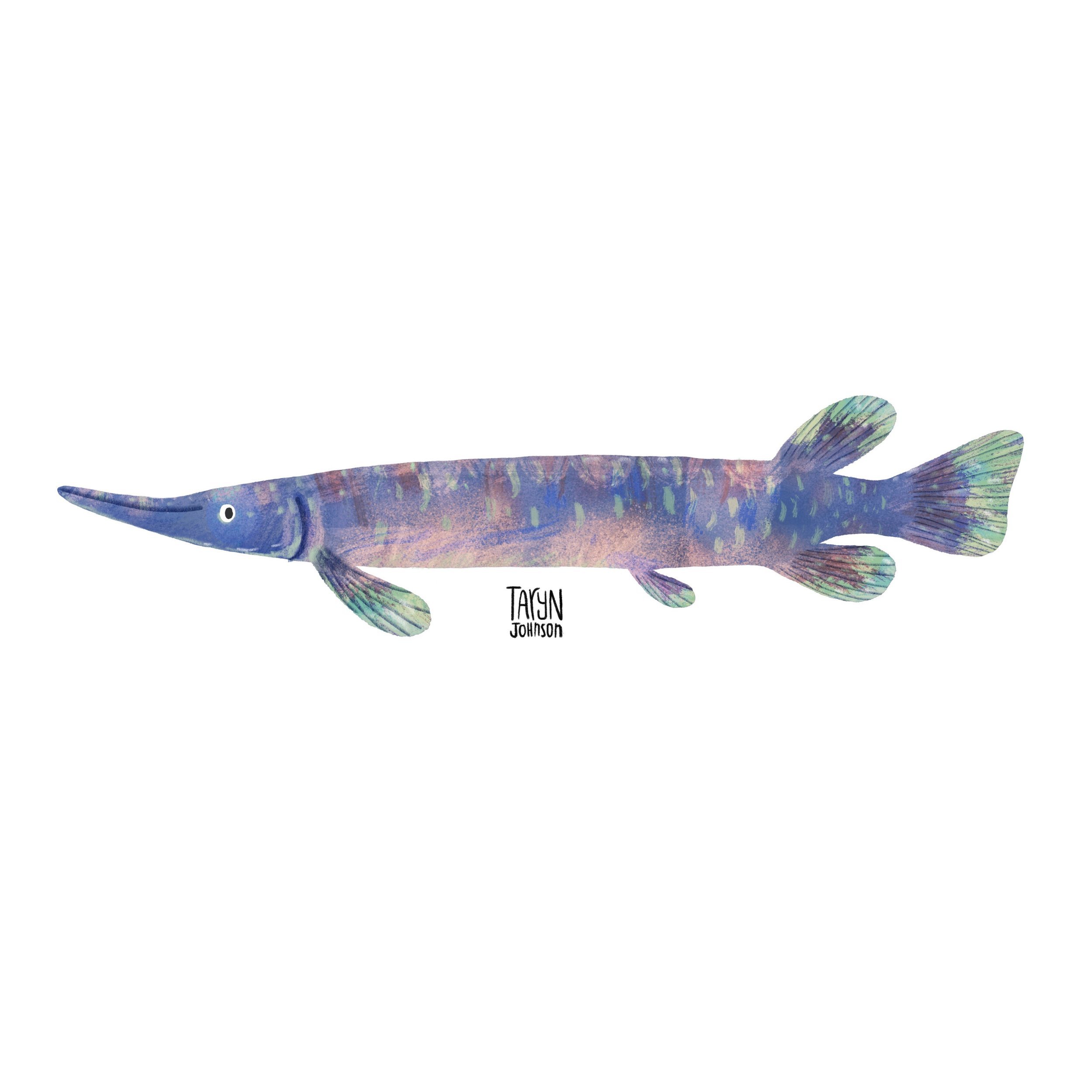 Fish093_tarynjohnson.jpg